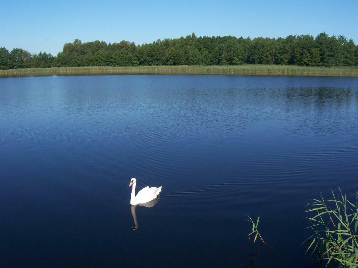 Domwigierski pl - Jeziorki - Comfort-Ferienhaus-Polen - własna linia brzegowa Wysoki Most  Zewnętrze zdjęcie