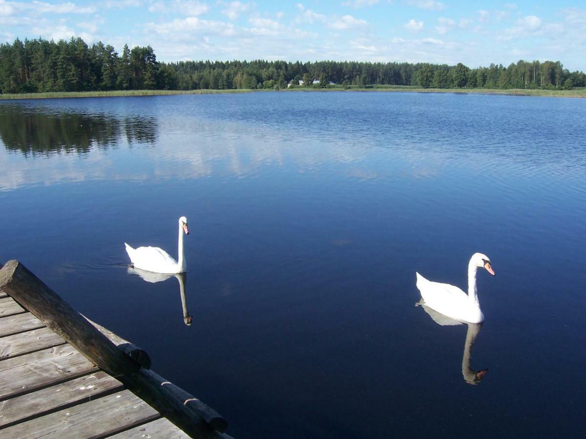Domwigierski pl - Jeziorki - Comfort-Ferienhaus-Polen - własna linia brzegowa Wysoki Most  Zewnętrze zdjęcie