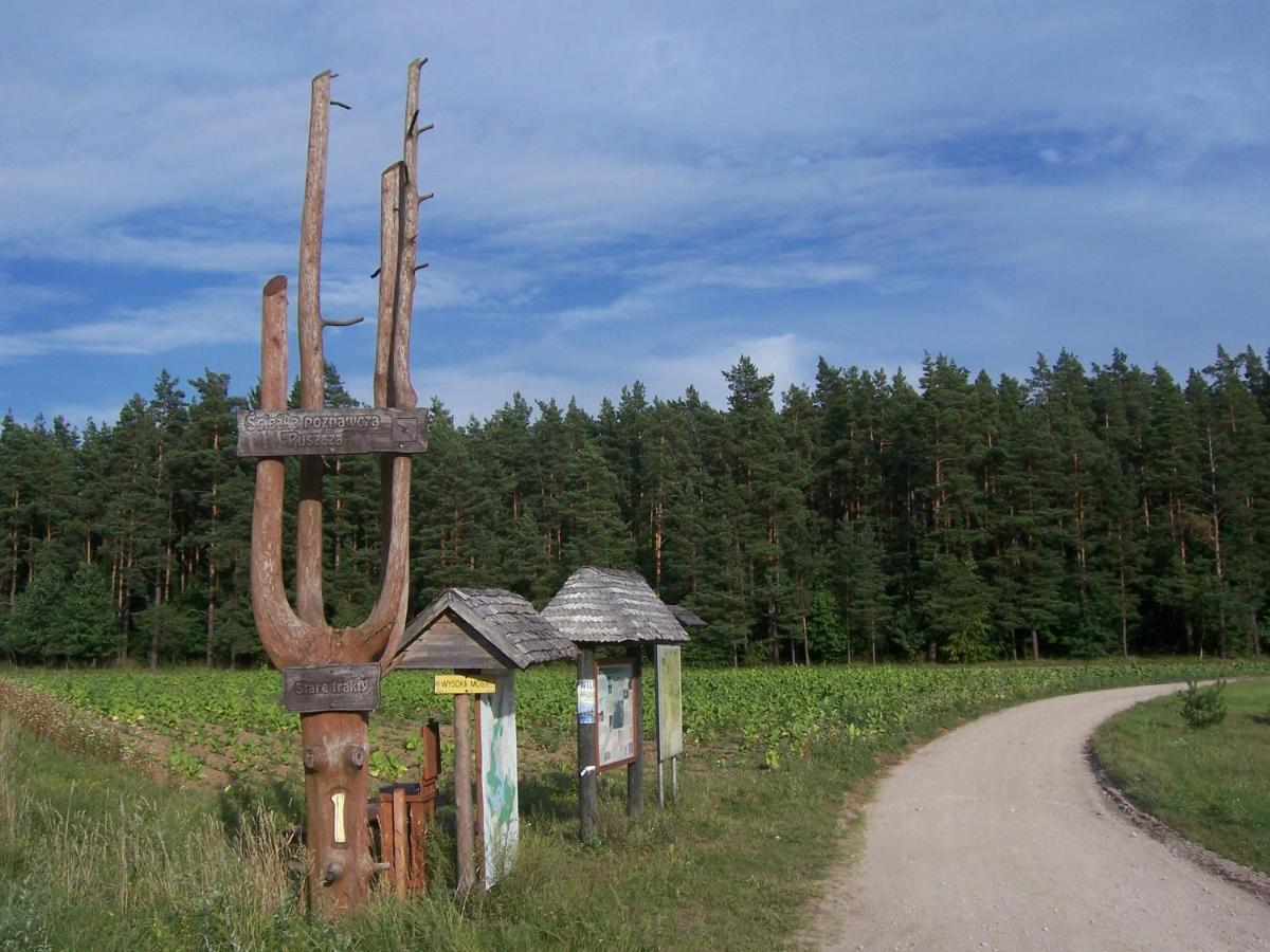 Domwigierski pl - Jeziorki - Comfort-Ferienhaus-Polen - własna linia brzegowa Wysoki Most  Pokój zdjęcie